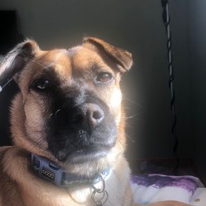 Meet your Posher, Jayna